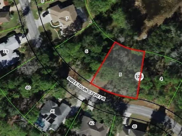 9 Sweetgum Ct N Lot 5, Homosassa, FL 34446