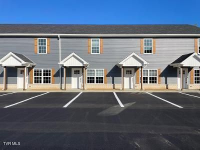 1080 Packing House Rd, Kingsport, TN, 37660