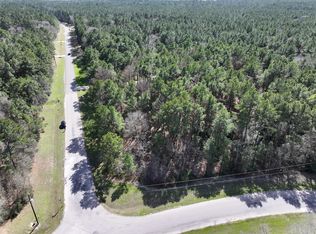 17582 Terrace Oaks Dr, Waller, TX 77484