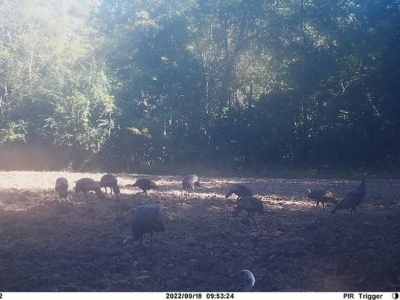 2nd image of 332 Old Hwy #84