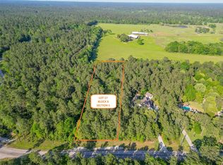 1-6-17 Dedication Trl LOT 17, Huntsville, TX 77340