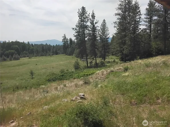 193 Blue Meadows Road, Tonasket, WA 98855