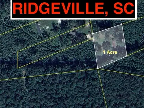 217 Joe Felder Rd, Ridgeville, SC 29472