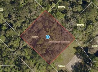 0 River Rd, Astor, FL 32102