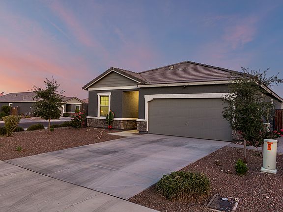 03-Palo Verde_08132025
