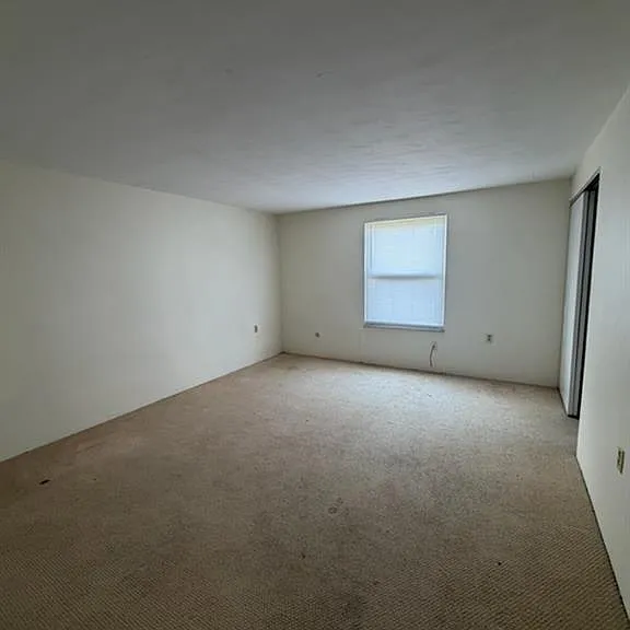 338 Grove St — Photo 4