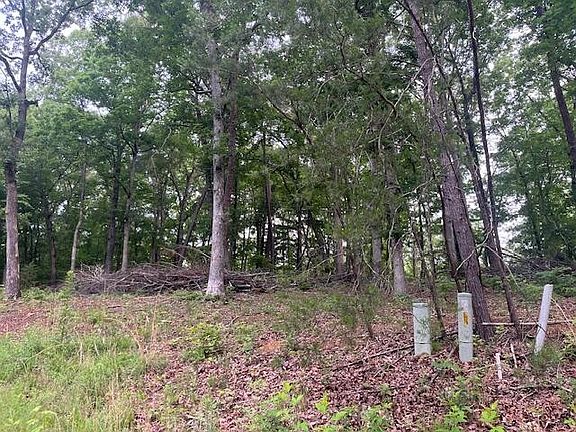 3rd image of 119 Hidden Hollow Cir