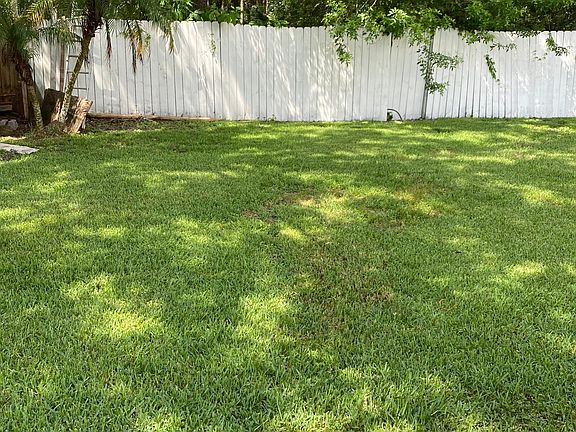 Spacious backyard with conservation view