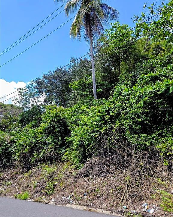 1st image of Bo Quebrada Cruz