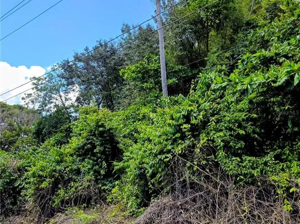 Bo Quebrada Cruz, Toa Alta, PR 00953