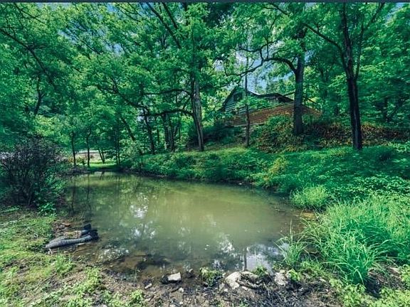 3rd image of 3909 Henry Town Rd