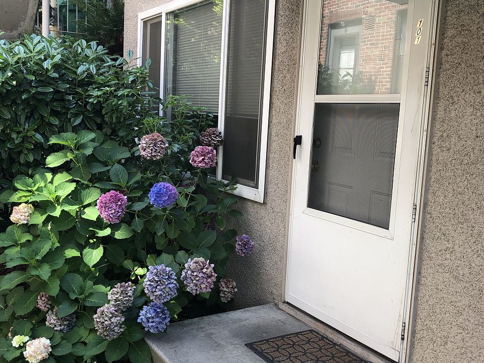 1st image of 2239 Yale Ave E APT 101