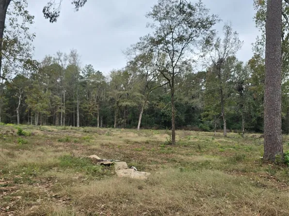 1006 S Houston Ave, Livingston, TX 77351