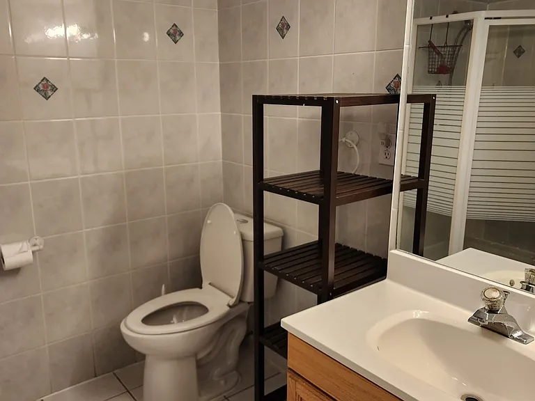 20 Wickham Ct #BASEMENT — Photo 7