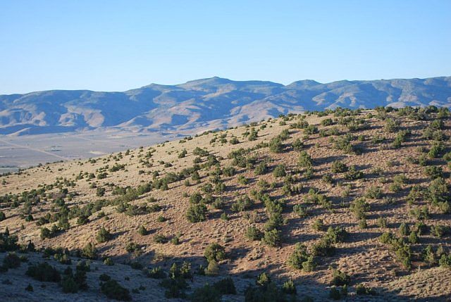 2nd image of 000 Calle De Mariposa