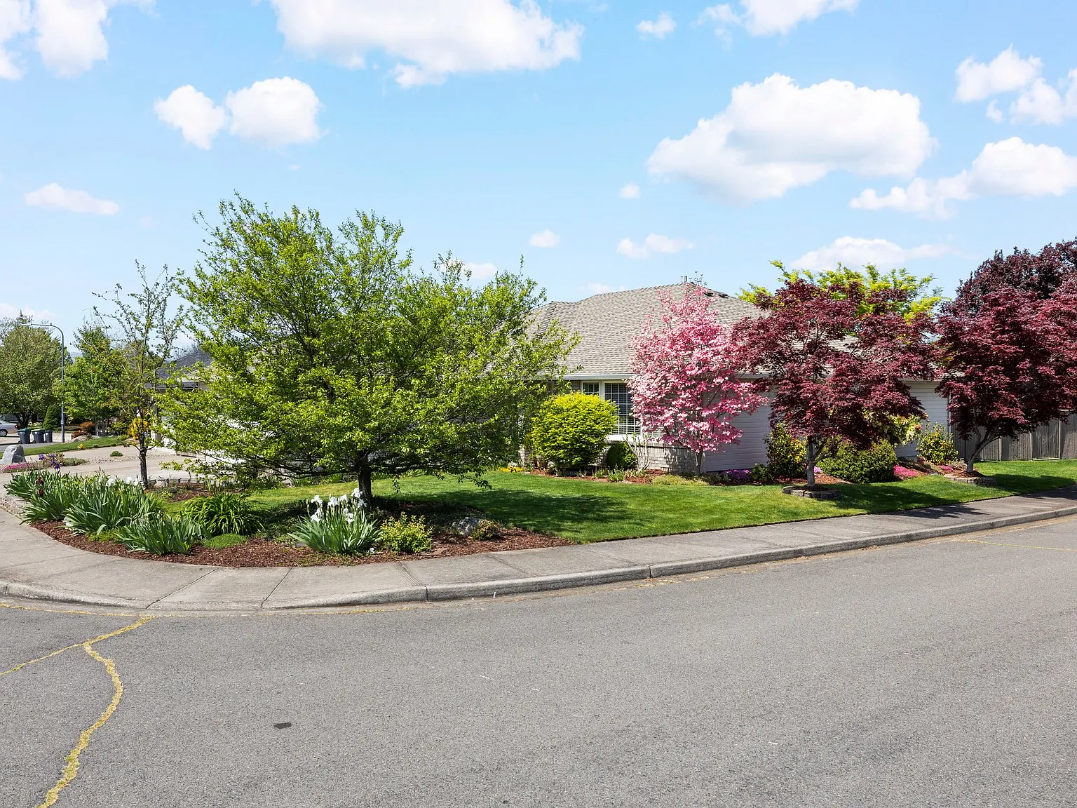 353, ID #, 3511 Blue Blossom Drive - 1 — Photo 4