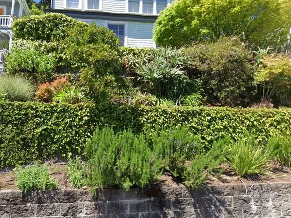 14B Bayview Ave, Mill Valley, CA 94941