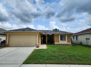 1441 Birchstone Ave, Brandon, FL 33511