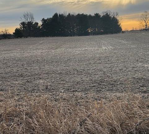 2nd image of 0 S Watson Rd