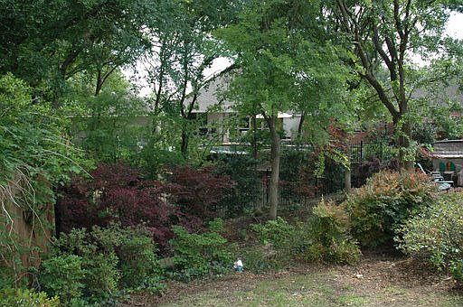 1203 Shadetree Lane yard