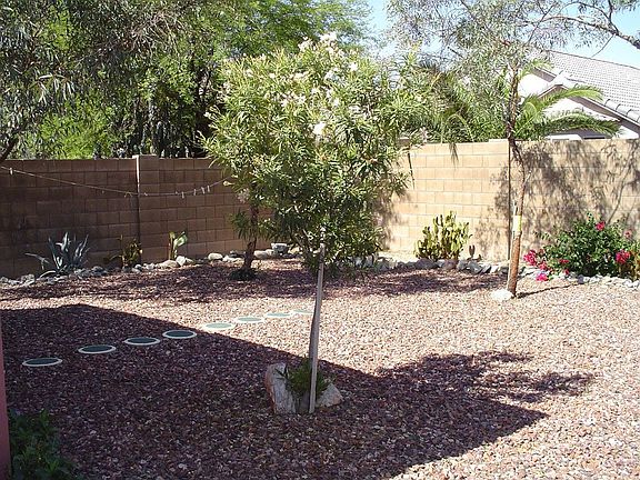 Desert Landscaping