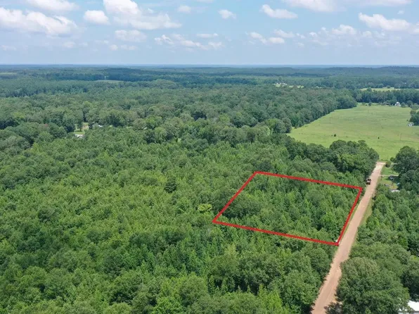 1 County Road 3885, Queen City, TX 75572