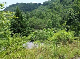 4222 Ball Hollow Rd, Cosby, TN 37722