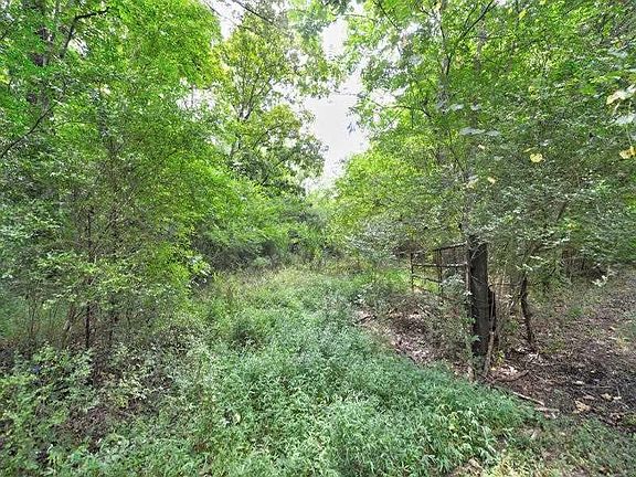 2nd image of 96AC Joe Nixon Ln