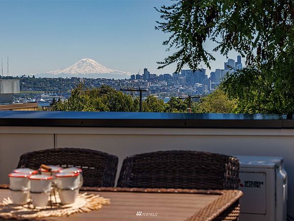 Mt. Rainier /Lake Union View from Rooftop deck>