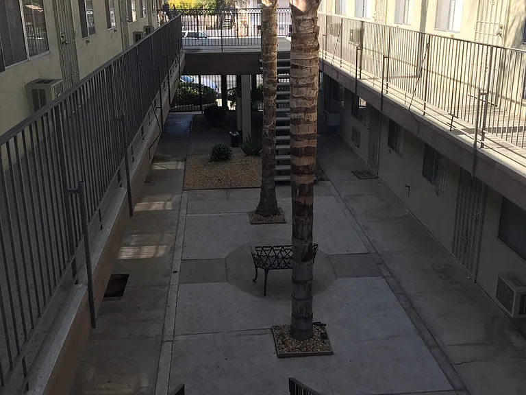 GOLDEN — Photo 4