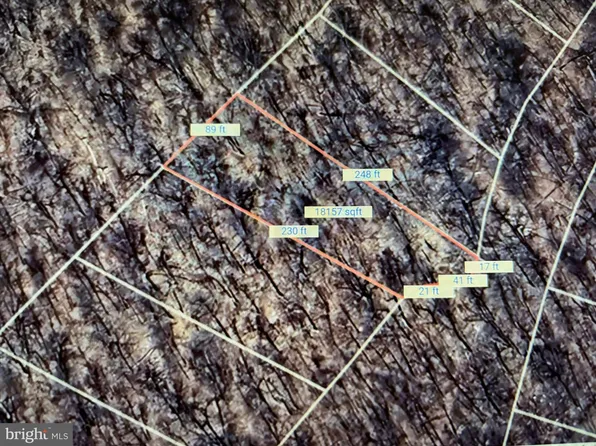 Rattlesnake Ln, Mount Jackson, VA 22842