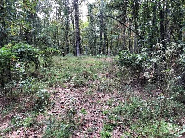 1000 Earwood Path, Dallas, GA 30132