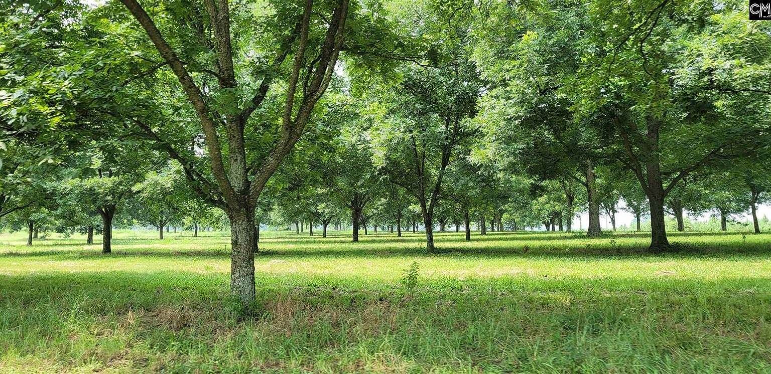 1183 Church Rd, Ridge Spring, SC 29129 MLS 555240 Zillow