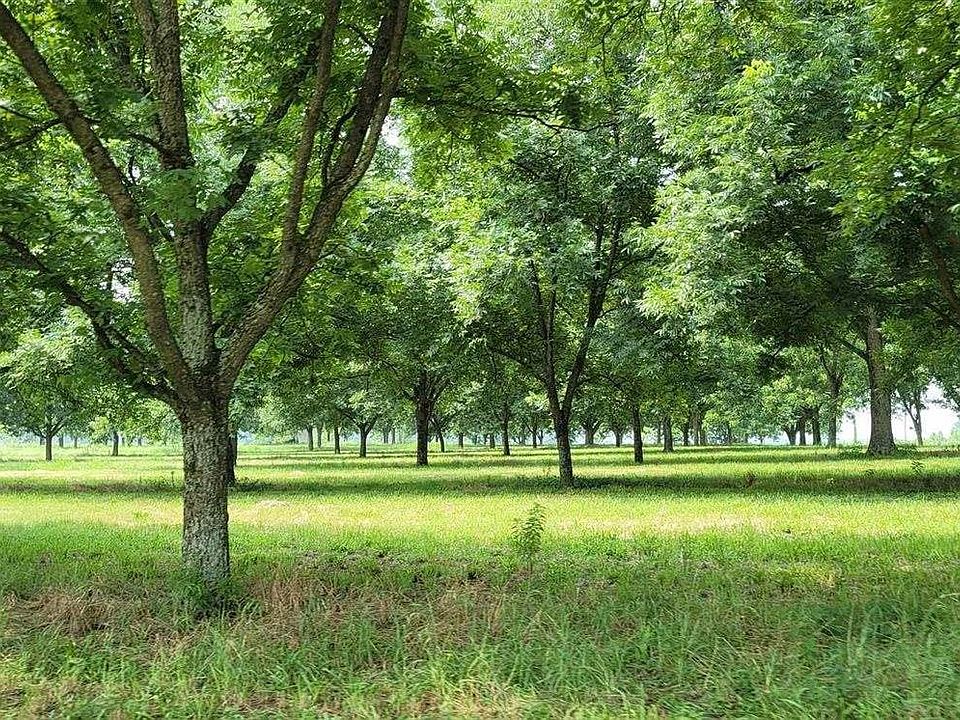 1183 Church Rd, Ridge Spring, SC 29129 MLS 555240 Zillow