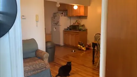 Rented by Urban Pads