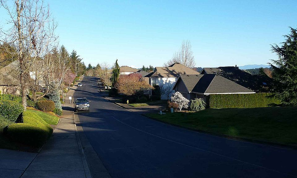 Front yard view