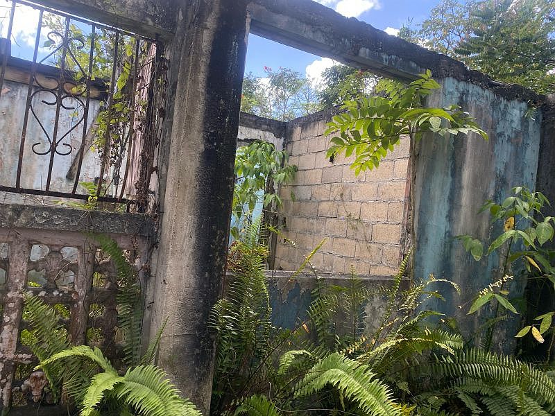 2nd image of Bo Tortugo Sector Canejas