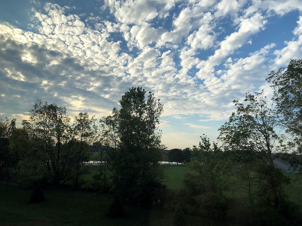 View from back of house
