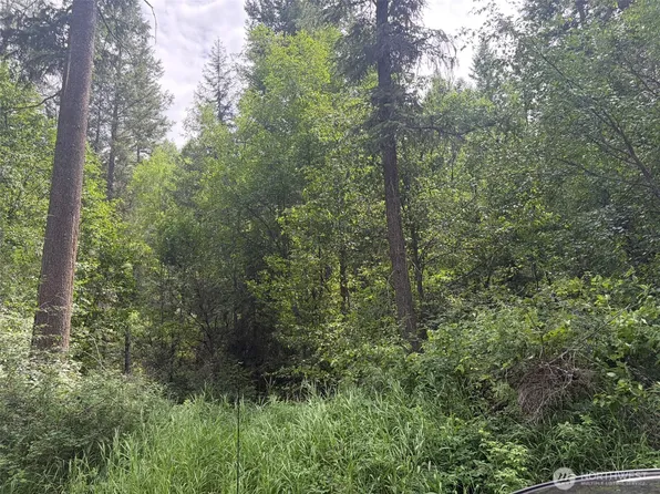 111 TBD Lambert Creek Road, Republic, WA 99166