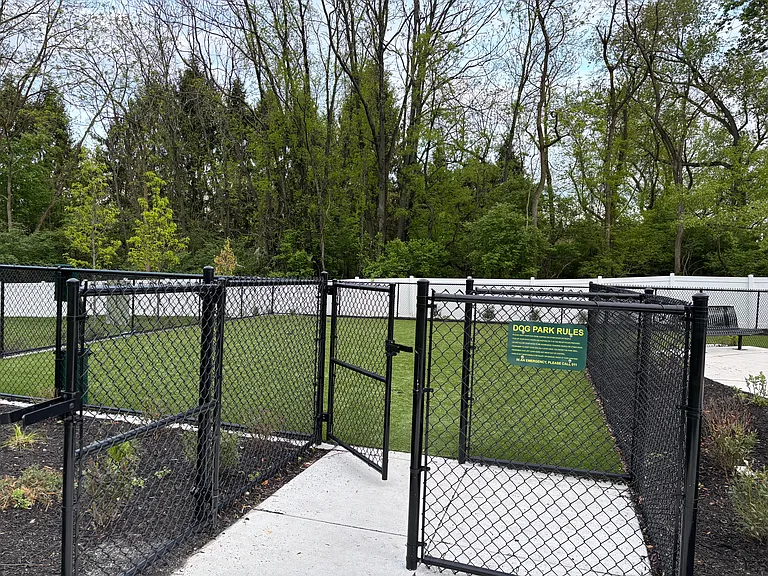 Dog Park