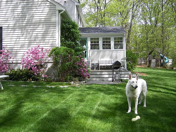 Backyard from garage