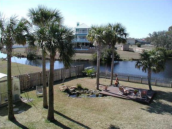 Back yard 