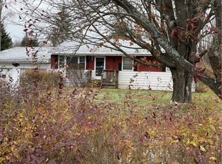 33 Reed St, Sinclairville, NY 14782