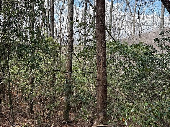 2nd image of 0 Line Runner Ridge Rd