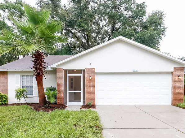 2338 Rothenfeld Ct, Land O Lakes, FL 34639