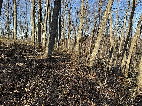 4th image of 9300 Bug Ridge Rd
