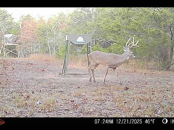 5th image of 428665 E 1920th Rd