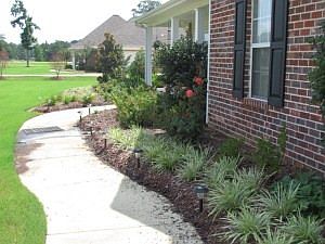 1st image of 295 Weeping Willow Dr