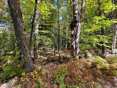 Peasley Road, Henniker, NH, 03242