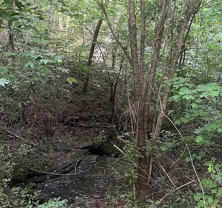 2nd image of 10686AC Glen Mary Ln
